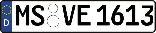 MS-VE1613