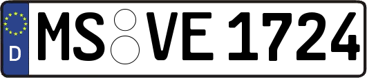 MS-VE1724