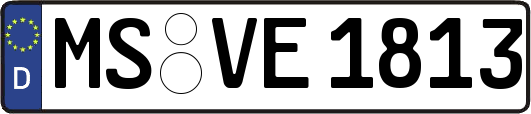 MS-VE1813