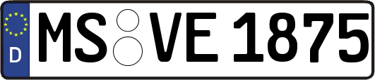 MS-VE1875