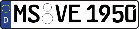 MS-VE1950