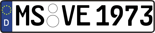 MS-VE1973