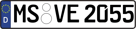 MS-VE2055