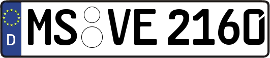 MS-VE2160