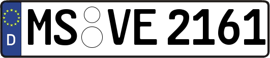 MS-VE2161