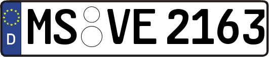 MS-VE2163