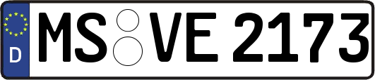 MS-VE2173