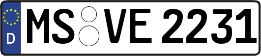 MS-VE2231