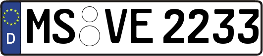MS-VE2233