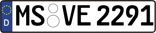 MS-VE2291