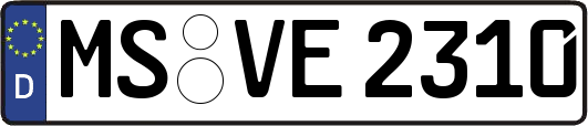 MS-VE2310