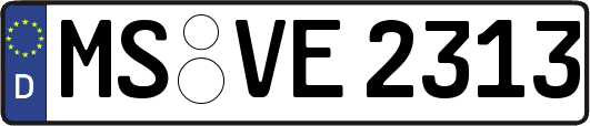 MS-VE2313