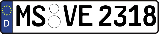 MS-VE2318