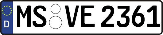 MS-VE2361