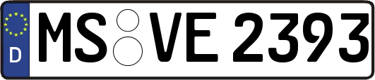 MS-VE2393