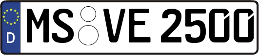 MS-VE2500