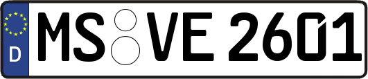 MS-VE2601