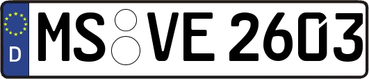MS-VE2603