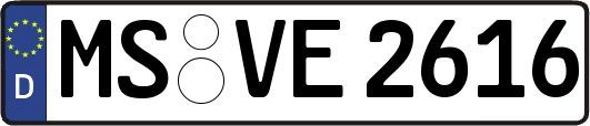 MS-VE2616