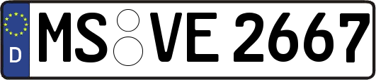 MS-VE2667