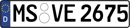 MS-VE2675