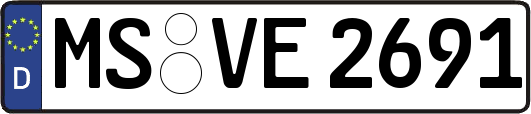 MS-VE2691