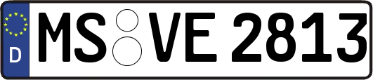MS-VE2813