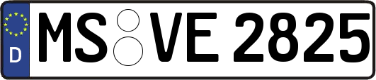 MS-VE2825