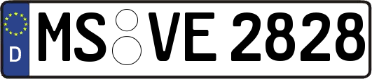 MS-VE2828