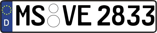 MS-VE2833