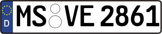 MS-VE2861