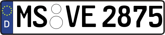 MS-VE2875