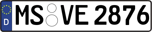 MS-VE2876