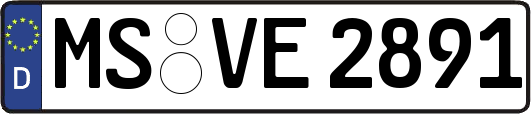 MS-VE2891