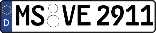 MS-VE2911