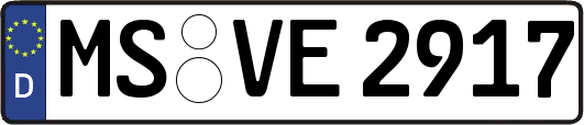 MS-VE2917