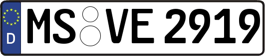 MS-VE2919