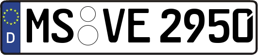 MS-VE2950