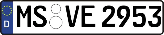MS-VE2953