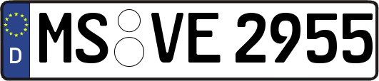 MS-VE2955