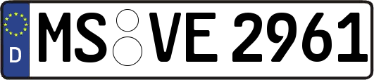 MS-VE2961