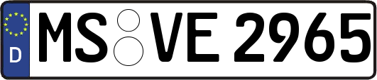 MS-VE2965
