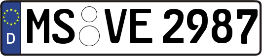 MS-VE2987