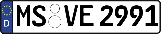 MS-VE2991