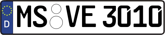 MS-VE3010