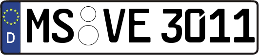MS-VE3011