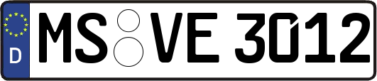 MS-VE3012