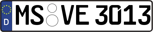 MS-VE3013