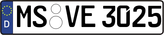 MS-VE3025