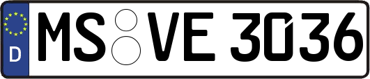 MS-VE3036